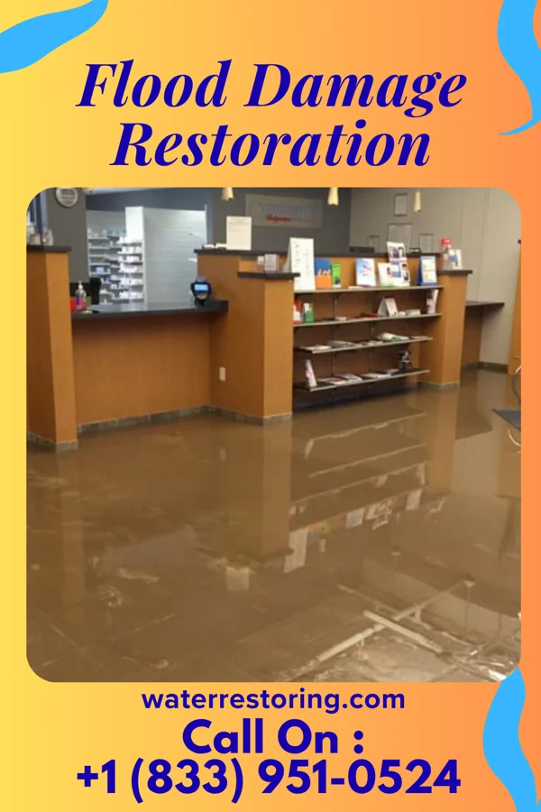 Flood Damage Restoration in Hartly, DE