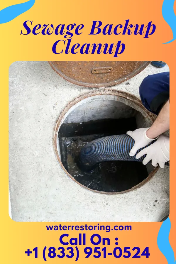 Sewage Backup Cleanup in Hartly, DE