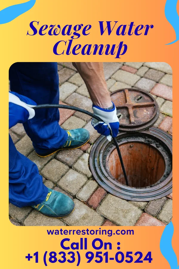 Sewage Water Cleanup in Hartly, DE
